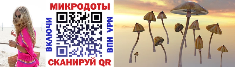 Псилоцибиновые грибы GOLDEN TEACHER Лянтор